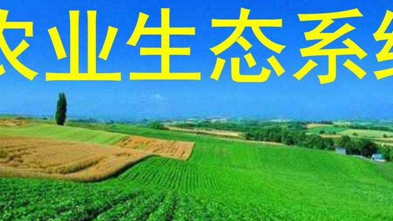 果蔬配送加盟代理的利润密码：揭秘盈利之道**