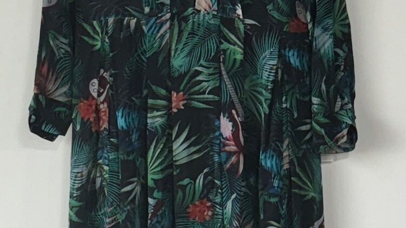 玉米种植全流程步骤指南：从播种到收获的全程解析