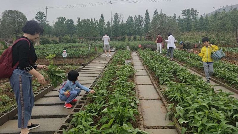 休闲农业观光园，如何打造生态旅游新亮点**