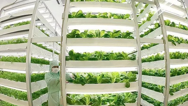 合作社发布的注销公告应包括以下内容：