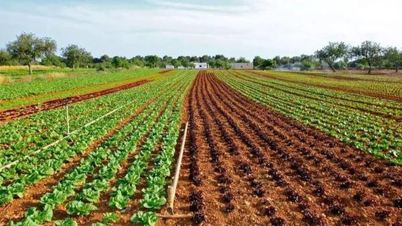 提交注册申请：携带以下材料向当地工商行政管理部门提交注册申请：