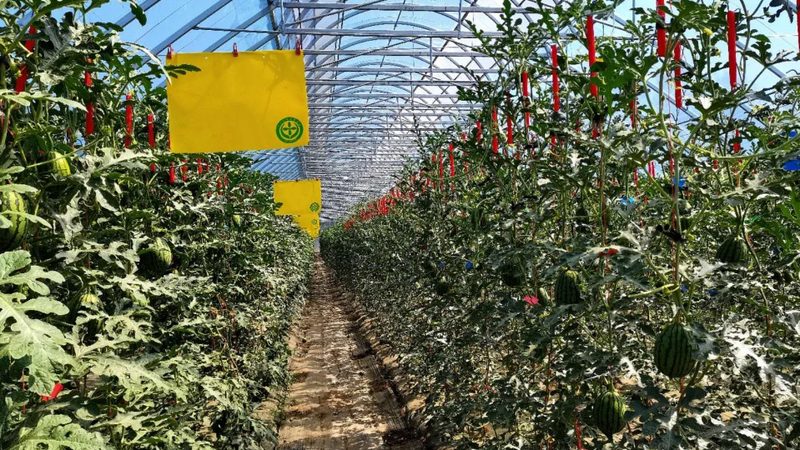 在选品过程中，要避免以下误区：