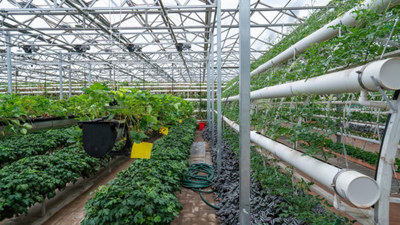 现代农业示范区建设标准解析：标准全文解读