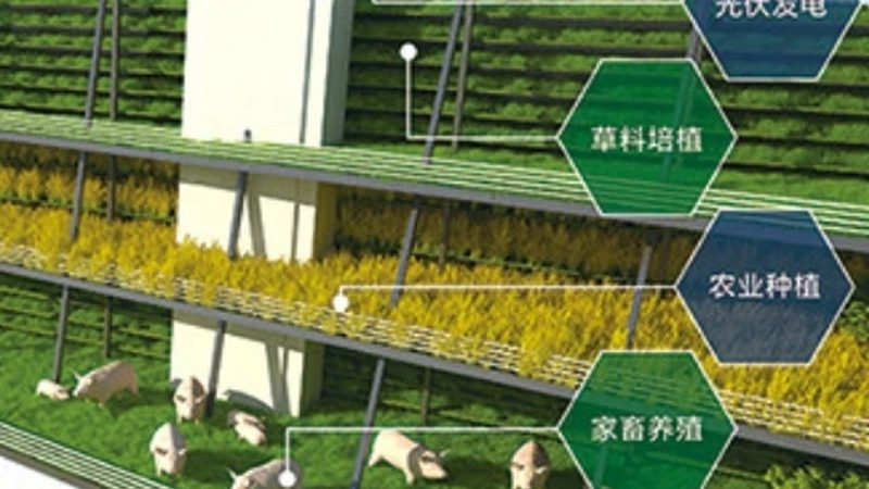 农业产业园冷链物流配套定制流程解析**