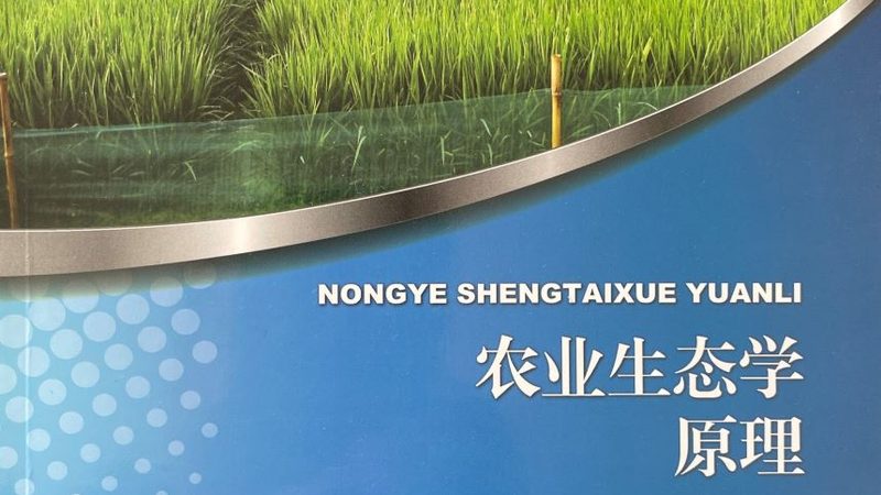 有机蔬菜定制套餐，如何挑选最合适？**
