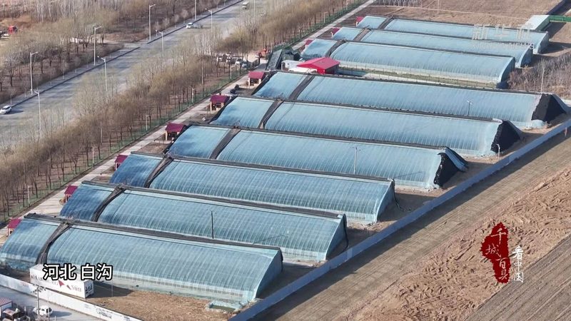 智能农业项目安装费用揭秘：如何合理估算与规划
