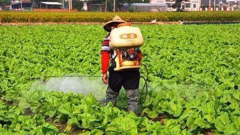 在选择生态农业产品认证标准时，应考虑以下因素：