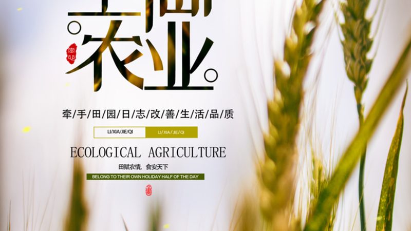 生态循环农业：种养结合，打造绿色未来**